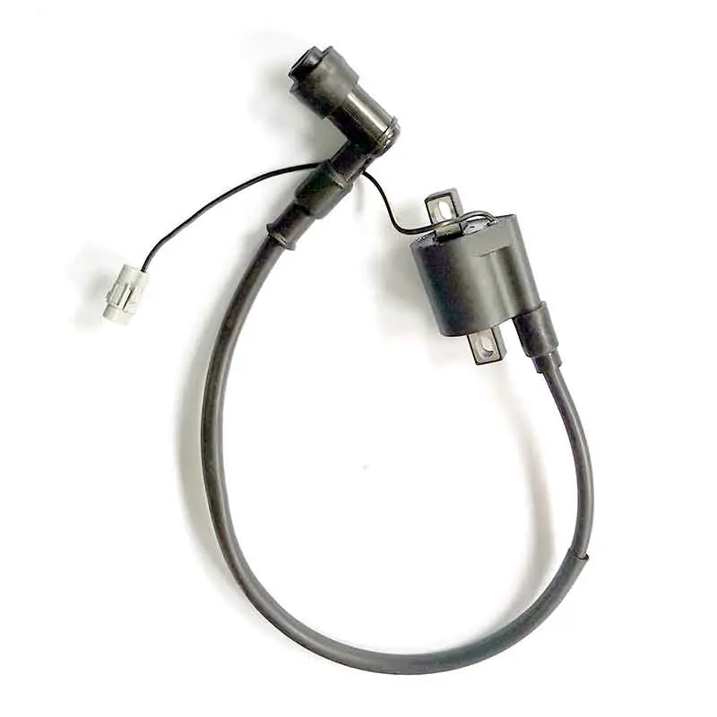 [FB018-001] BOBINA DE BUJIA - FX250AK47  FX250E-T4  JOKER  S25 FB018-001