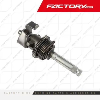 [FB054-012] EJE PEDAL DE ARRANQUE - FBK250R2 FB054-012