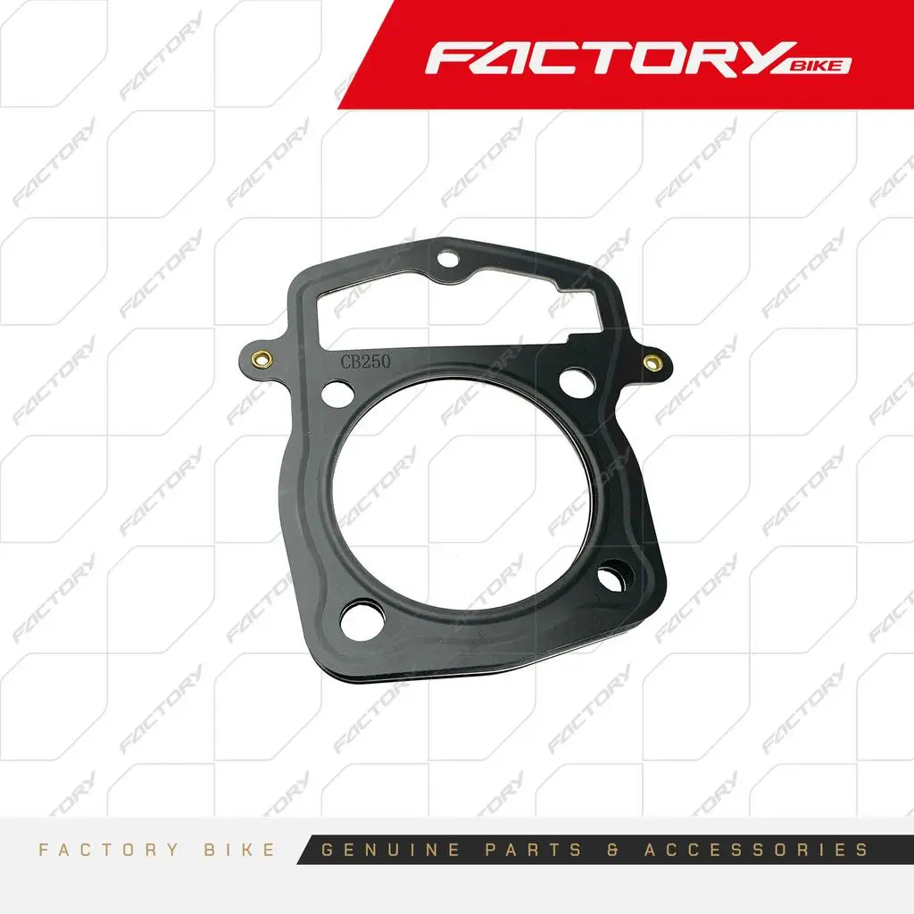 [FB161-001] EMPAQUE CABEZOTE DE CILINDRO - FX250-AK47  S25  JOKER  FBK250RS FB161-001