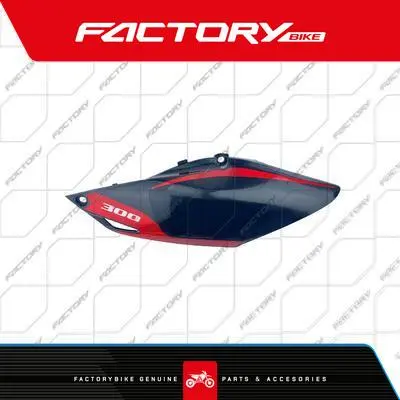 [FB349-004] LATERAL POS. INF. IZ NE - T4-300(23)  T4-300(24) FB349-004