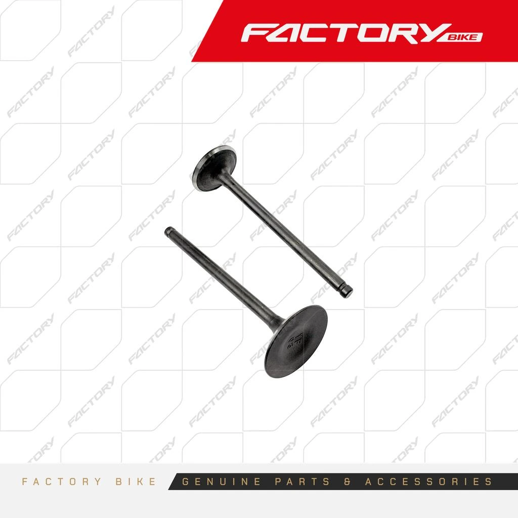 VALVULAS ADM 31.7 - ESC 27.1 PC - FX250-AK47  FX250E-T4  S25  JOKER  FBK250RS FB139-001